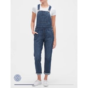 GAP Relaxed Denim Overalls with Washwell